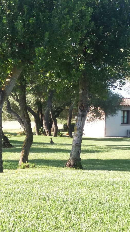 B&B Majore Ольбия Экстерьер фото